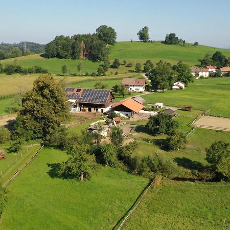 Carlo Lejlighed Wangen im Allgäu Eksteriør billede