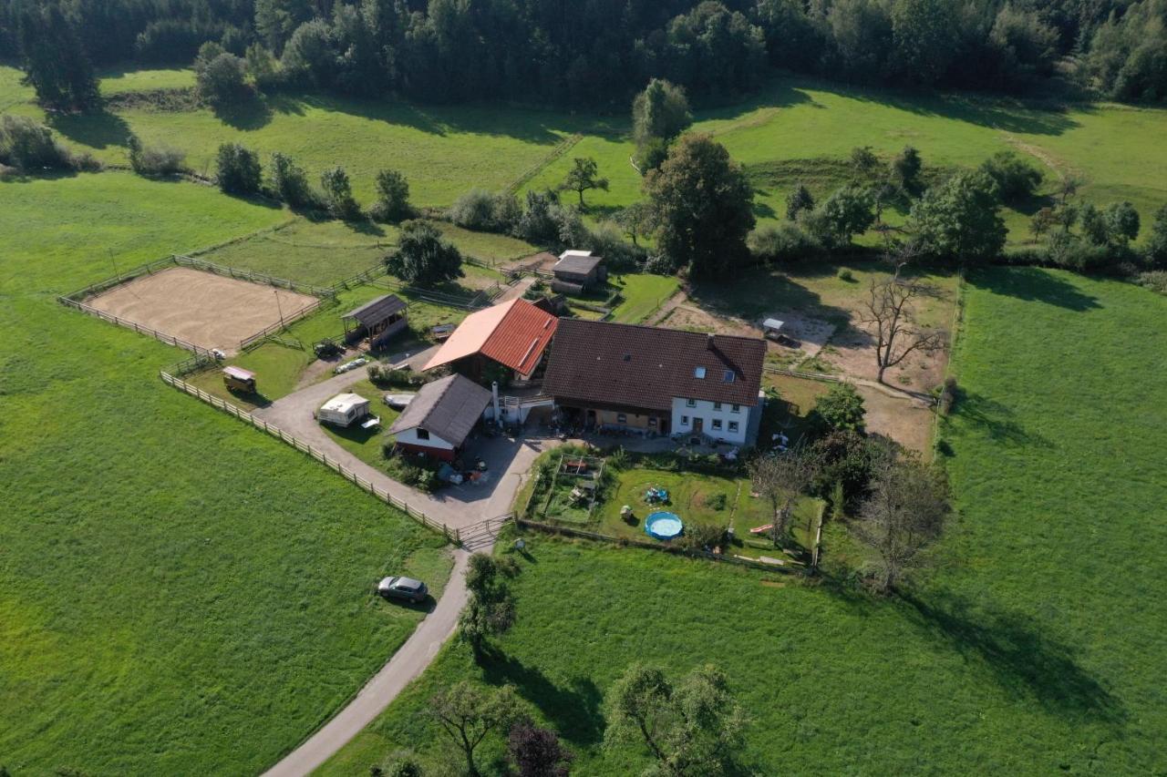 Carlo Lejlighed Wangen im Allgäu Eksteriør billede