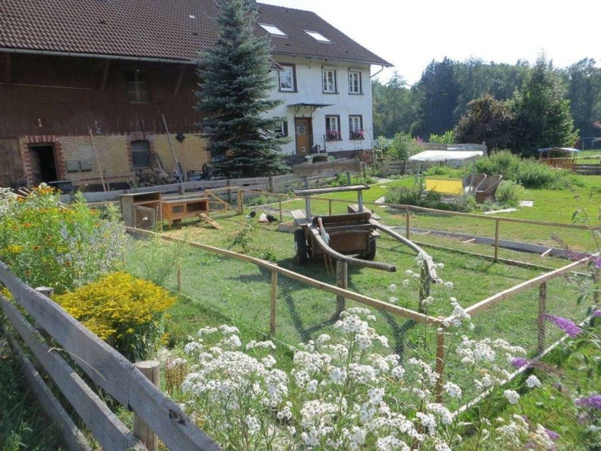Carlo Lejlighed Wangen im Allgäu Eksteriør billede