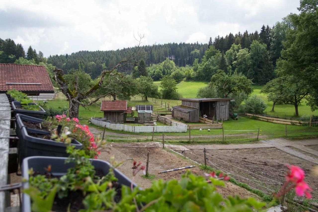 Carlo Lejlighed Wangen im Allgäu Eksteriør billede
