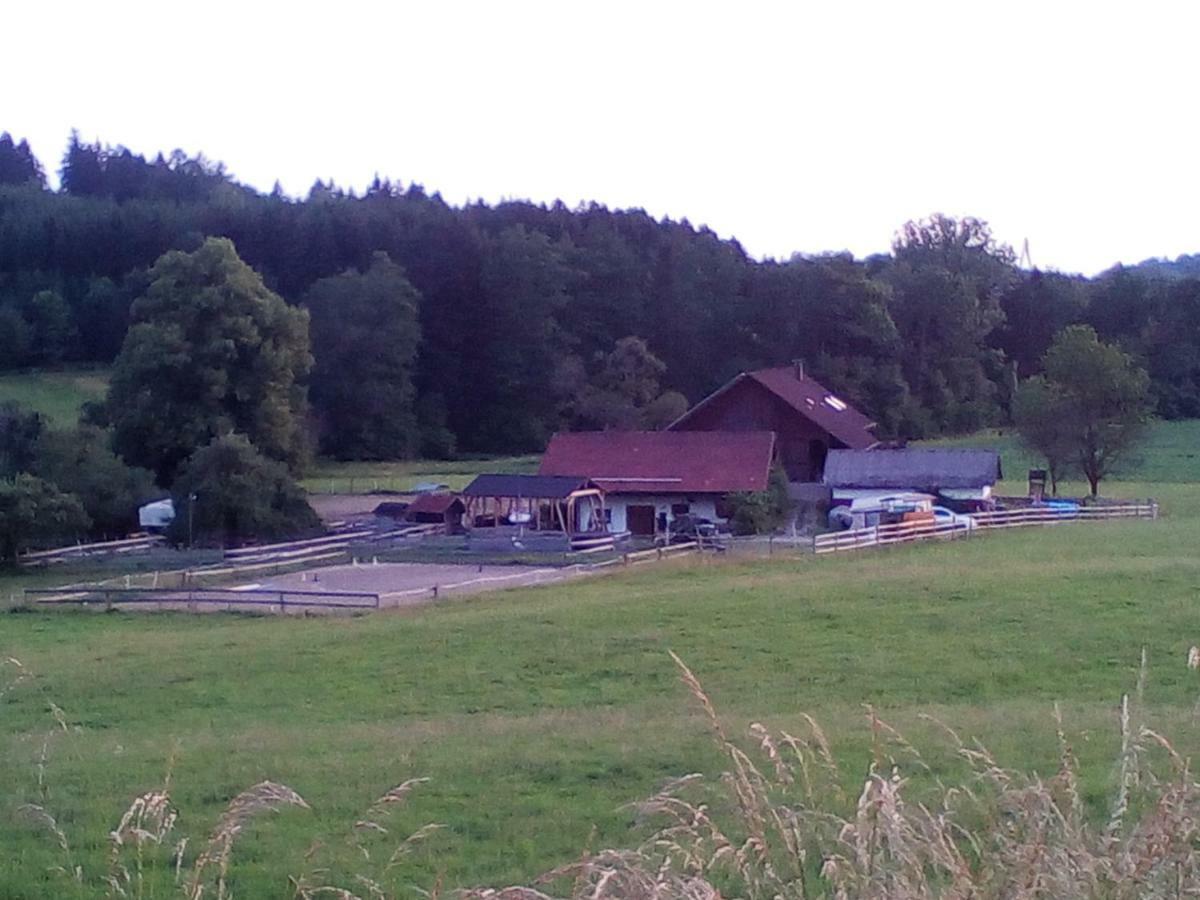 Carlo Lejlighed Wangen im Allgäu Eksteriør billede